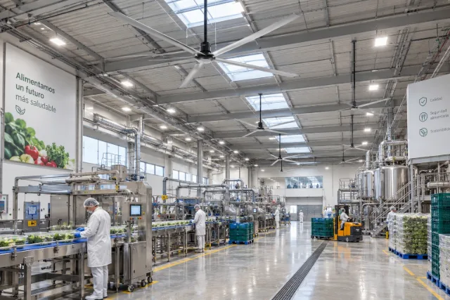 Ventiladores HVLS sobre las líneas de una planta agroalimentaria